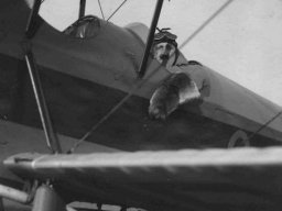 sefton brancker 0259-0022